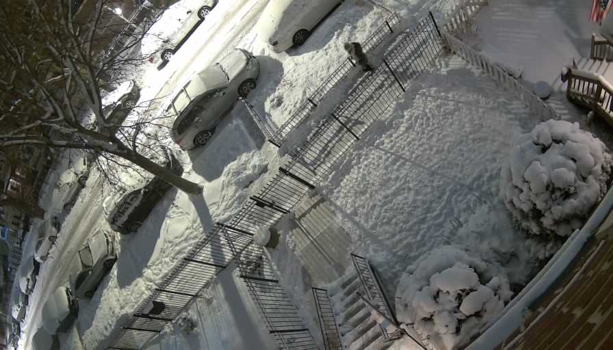 Reolink Camera Two_01_Reolink Home Hub One_20260125221918.jpg